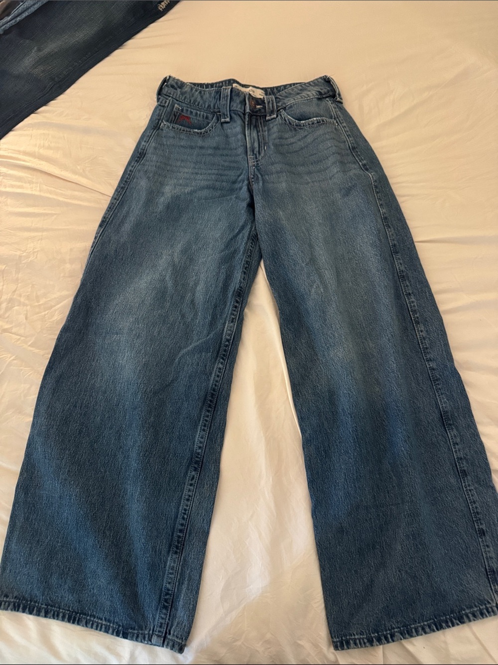 Hollister Low-Rise Cherry jeans, super baggy, Size 24